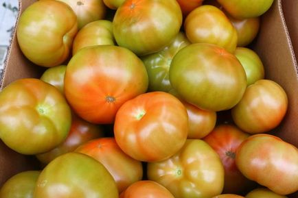 Як зберегти томати свіжими надовго