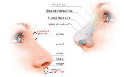 Cum să eliminați o cocoșă în nasul centrului de cosmetologie și chirurgie plastică