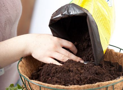 Cum de a îmbunătăți solul pregătit pentru plantele de interior pe