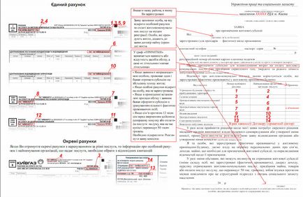 Hogyan töltse ki a papírokat a támogatási