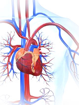 Cardiologie în Kemerovo - tratament cardiac