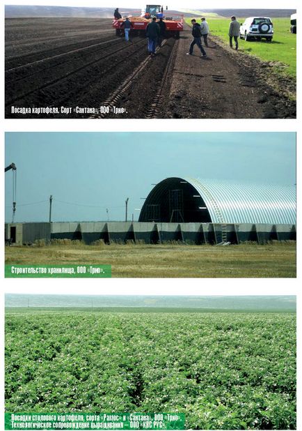 Картоплярство Алчевської області - журнал - картопляна система