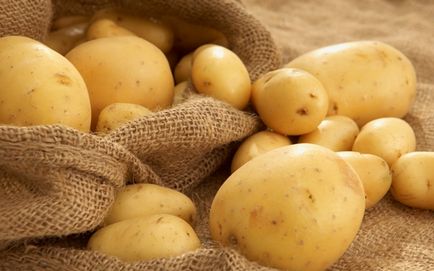 Potato riviera - o descriere a varietății, plantarea, îngrijirea și alte aspecte ale fotografiei