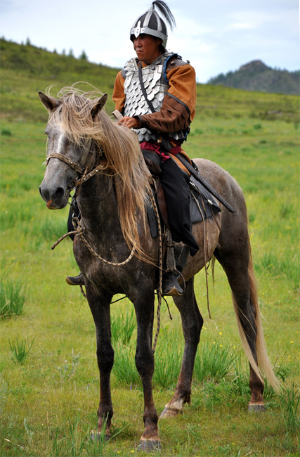 Kazah lófajta (Adaev és Jabe), a lovak