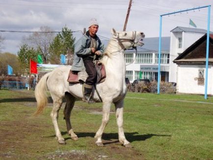 Kazah lófajta - helyszínen a lovak