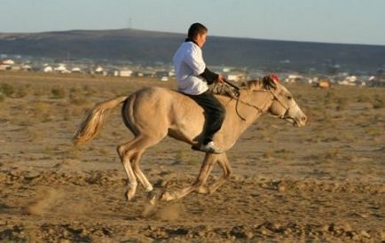 Kazah lófajta - helyszínen a lovak