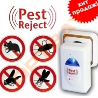 Bedbug-uri la puii de găină într-o casă de găină cum să-i lupți, decât să-i tratezi și să scapi de ei