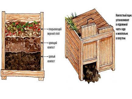 Compost cu mâinile lor în țară cum să-l facă din rumeguș