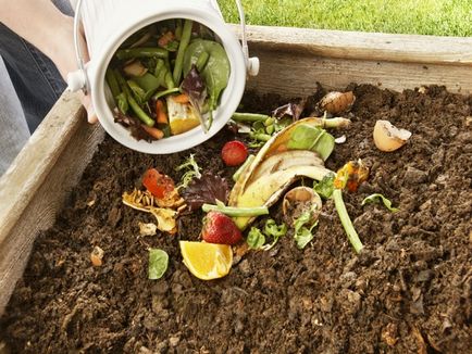 Compost cu mâinile lor în țară cum să-l facă din rumeguș