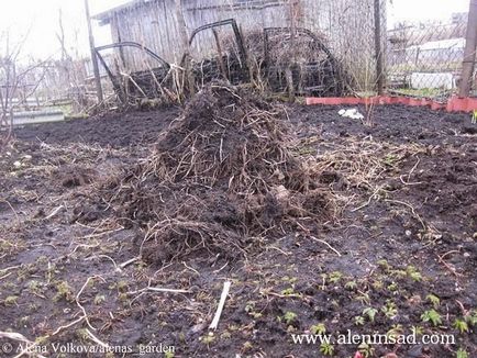 Compost în saci și noul meu mod de combatere a buruienilor