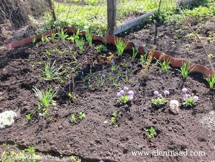 Compost în saci și noul meu mod de combatere a buruienilor