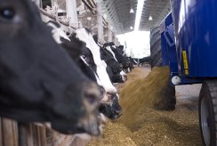 Dispozitive de alimentare pentru ferme 10, 10, 10, descrierea postului și caracteristicile distinctive