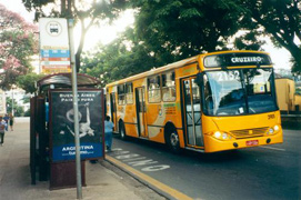 Scurt despre brazilieni, viața braziliană cum este