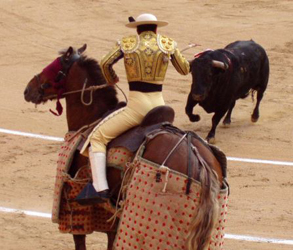 Bikaviadal - Matador - toreodor - gyermek honlapján Zateeva