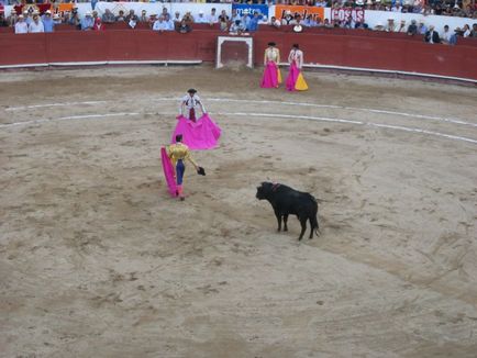 Lupte cu tauri - matador - toreodor - site-ul pentru copii zateevo