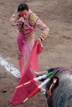 Lupte cu tauri - matador - toreodor - site-ul pentru copii zateevo