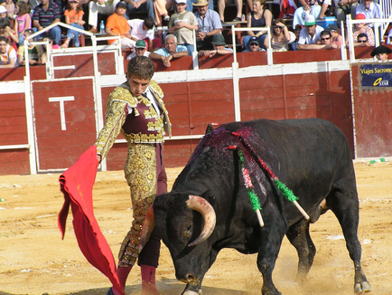 Lupte cu tauri - matador - toreodor - site-ul pentru copii zateevo