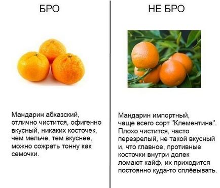 Хто бро, а хто ні бро і не бро картинки