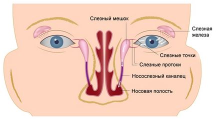 Лікування дакриоцистита у новонароджених як зробити масаж, що таке зондування слізного каналу