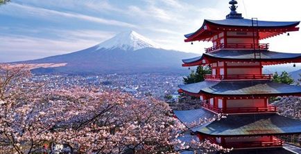 Tratamentul cancerului în Japonia - tratamentul cancerului în Japonia