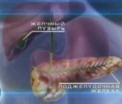 Tratamentul pancreatitei cronice și colecistitei cu plante medicinale - popular pentru sănătate