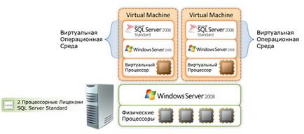 Licențierea produselor către procesor - produse software - scheme de licențiere