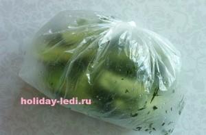Малосольні огірки в пакеті швидкий рецепт за 5 хвилин