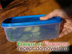 Sós uborka 5 percig - recept domovesta