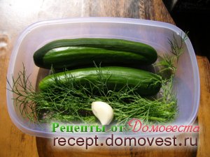 Sós uborka 5 percig - recept domovesta