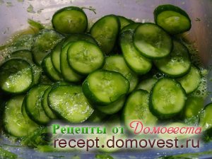 Sós uborka 5 percig - recept domovesta