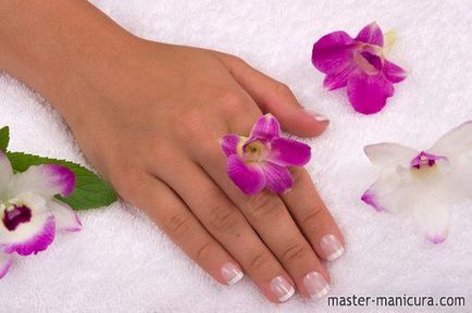 Manicure Secrets - Maestru de manichiură