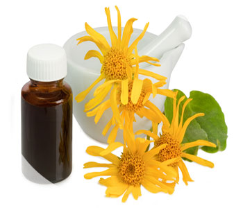 Arnica ulei - aplicare în medicină și cosmetologie