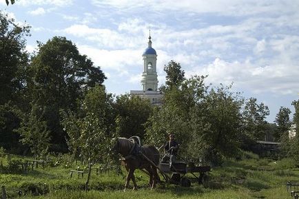 Mama lui Dumnezeu, spriterul pâinii noastre! 