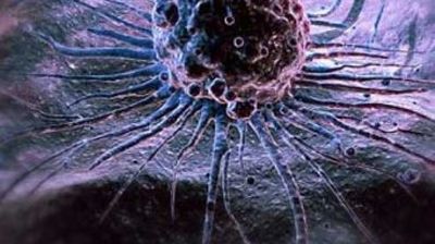 Celule stem mezenchimale
