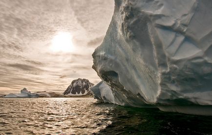 Leopardul de mare este un locuitor formidabil al Antarcticii, o revistă sălbatică