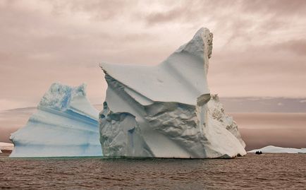 Leopardul de mare este un locuitor formidabil al Antarcticii, o revistă sălbatică