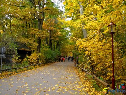 Podul Bastai și Elveția Saxonă - excursii excelente