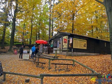 Podul Bastai și Elveția Saxonă - excursii excelente