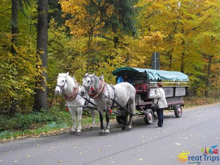 Міст Бастай і саксонська швейцария - great trips