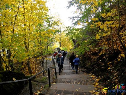 Podul Bastai și Elveția Saxonă - excursii excelente