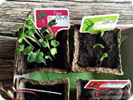 Набір для вирощування рослин акція плантація - «як виростити цілий город у себе вдома нова