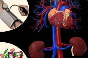 Cât de periculos este efectul tensiunii arteriale scăzute asupra inimii