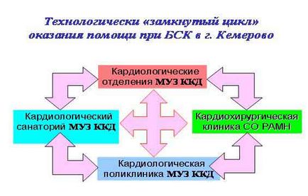 Institutul de Cercetări Științifice pentru Probleme Complexe ale Boli Cardiovasculare