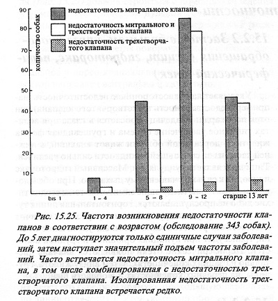 Insuficiența supapelor atrioventriculare (endocardioză) la câini