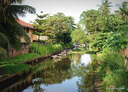 Negombo, Sri Lanka - descrierea plajei, cum să ajungi acolo, ce să vezi