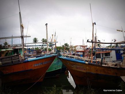 Negombo, Sri Lanka - descrierea plajei, cum să ajungi acolo, ce să vezi