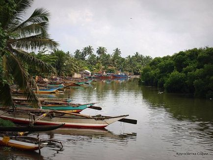 Negombo, Sri Lanka - descrierea plajei, cum să ajungi acolo, ce să vezi