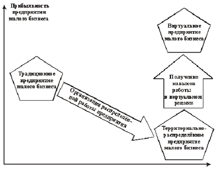 Noi forme de organizații (rețea, virtuale), elementele de bază ale managementului