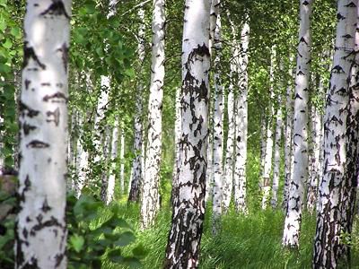 Оберіг весільник для молодят значення амулета