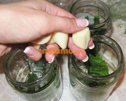 Огірки консервовані з часником - фото рецепт, як закрити на зиму з кропом